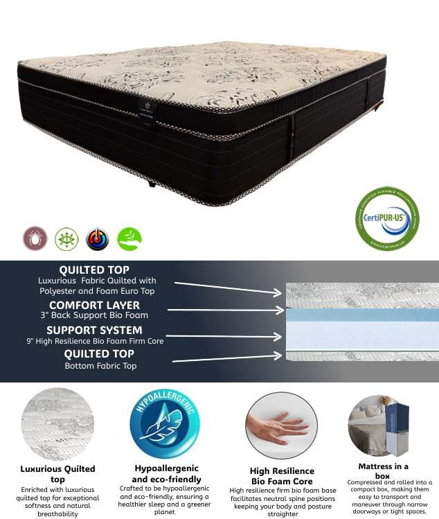 Perfect Sleep 12" EuroTop Mattress π