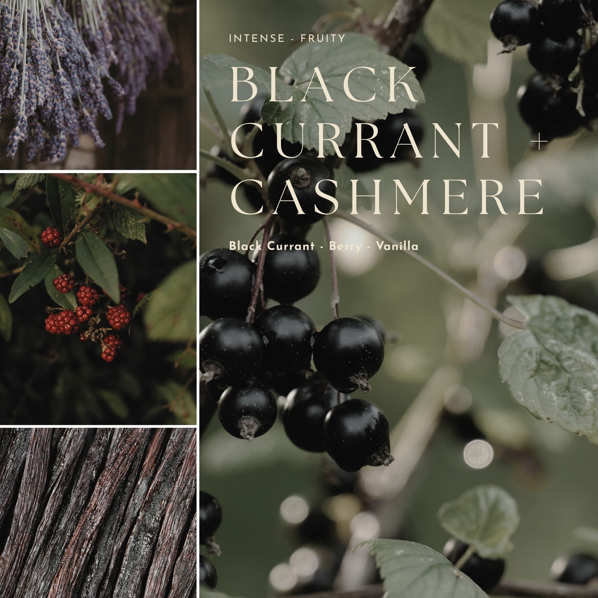 Gourmand, Fruit & Citrus Candles
