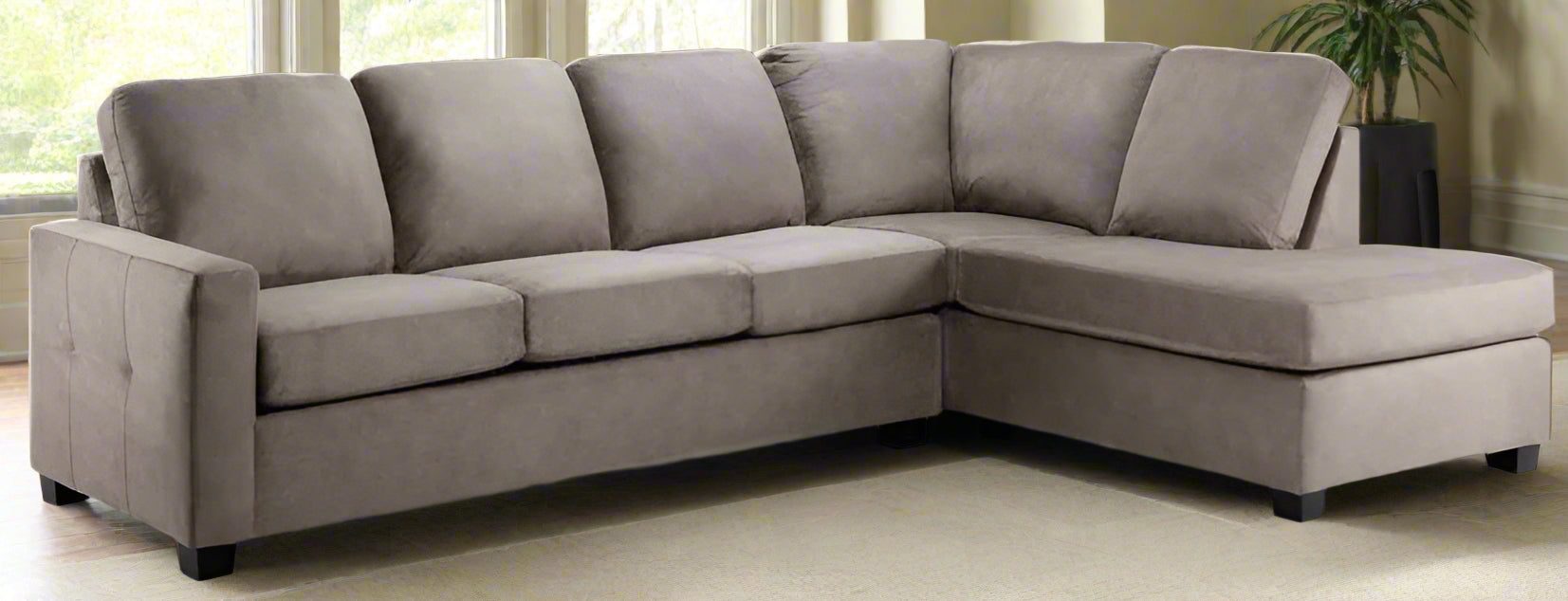 Niagara Sectional Sofa in Beige 🍁