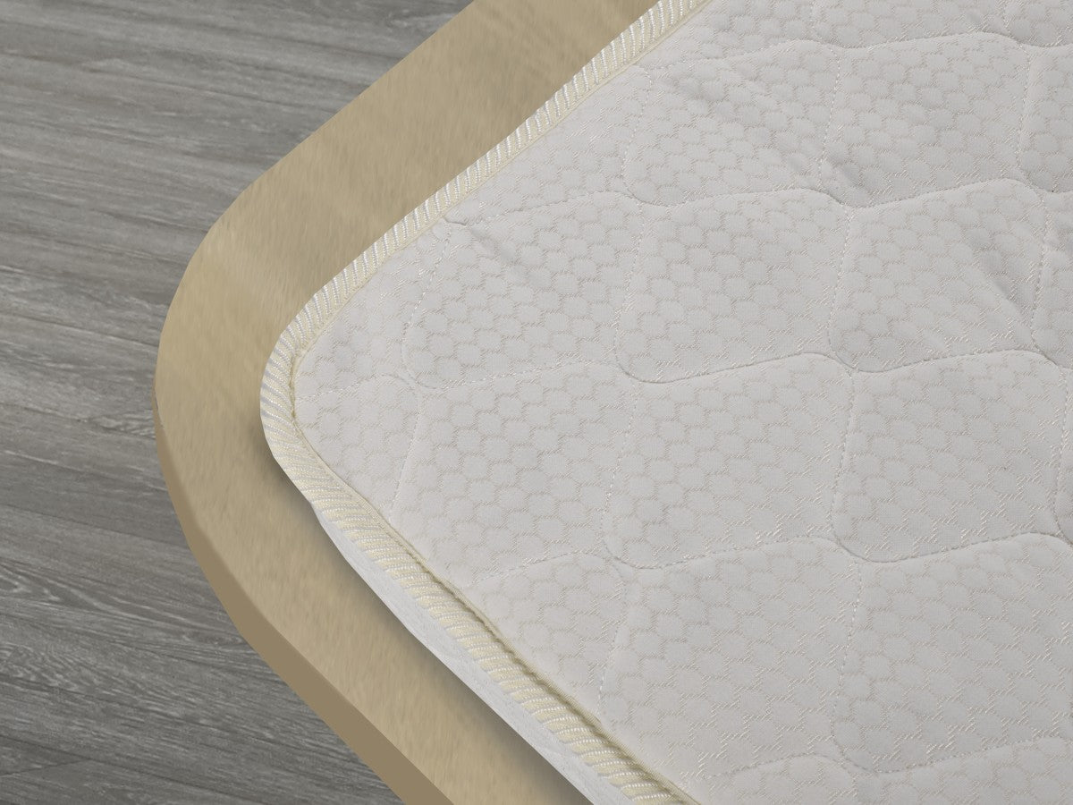 Cicely 6.5" Bonell Coil