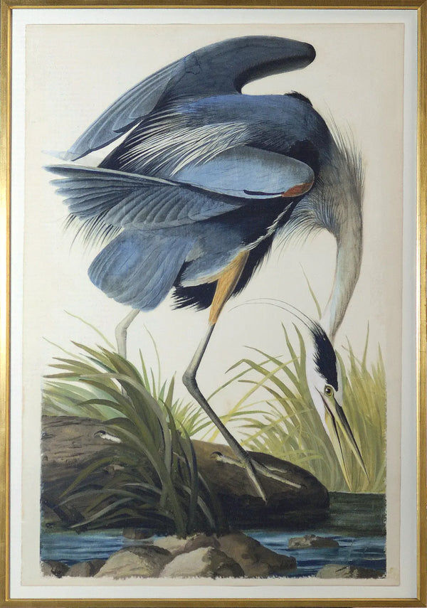 Blue Heron - 37" x 54"