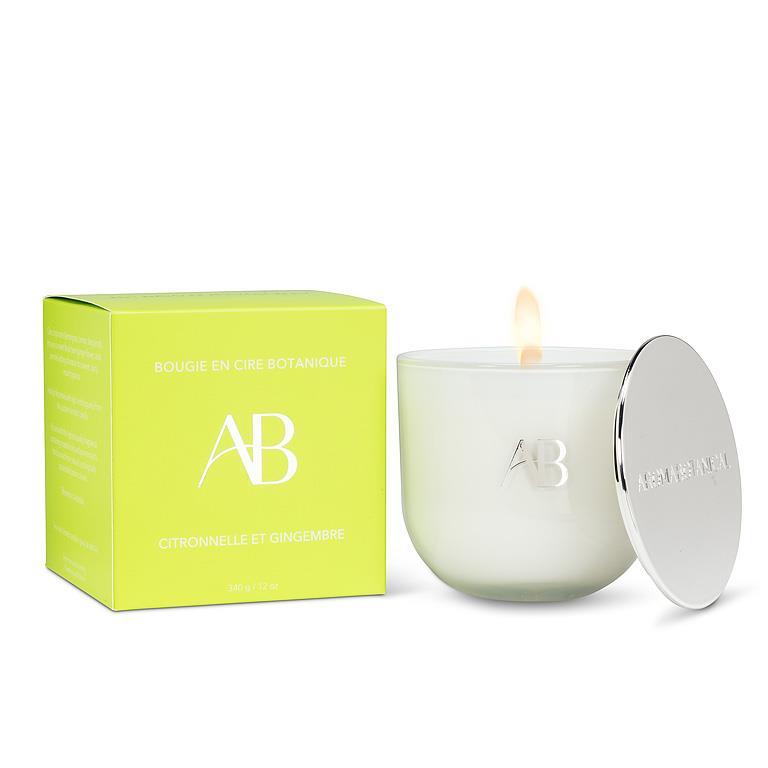 Lemongrass Ginger Candle, Set of 2