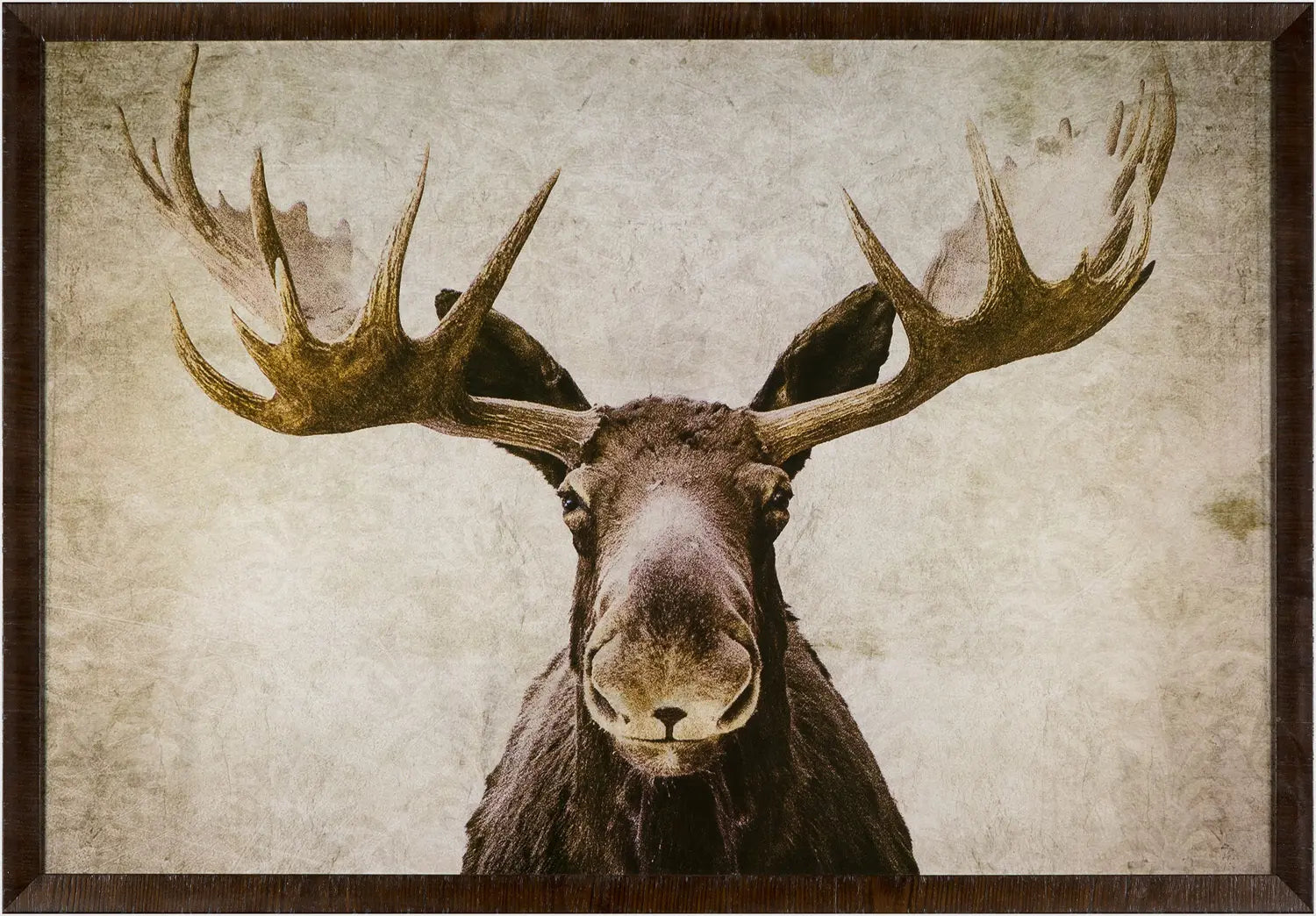 Elmer - 37.5" x 25.5"