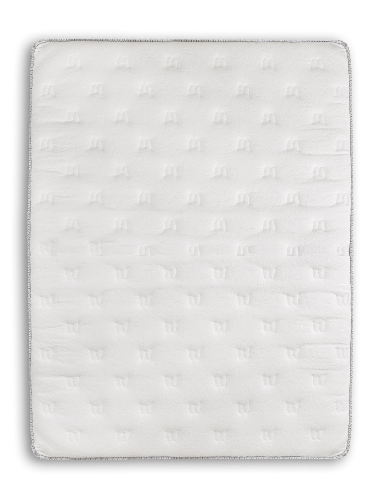 Cicely 8" Pocket Coil