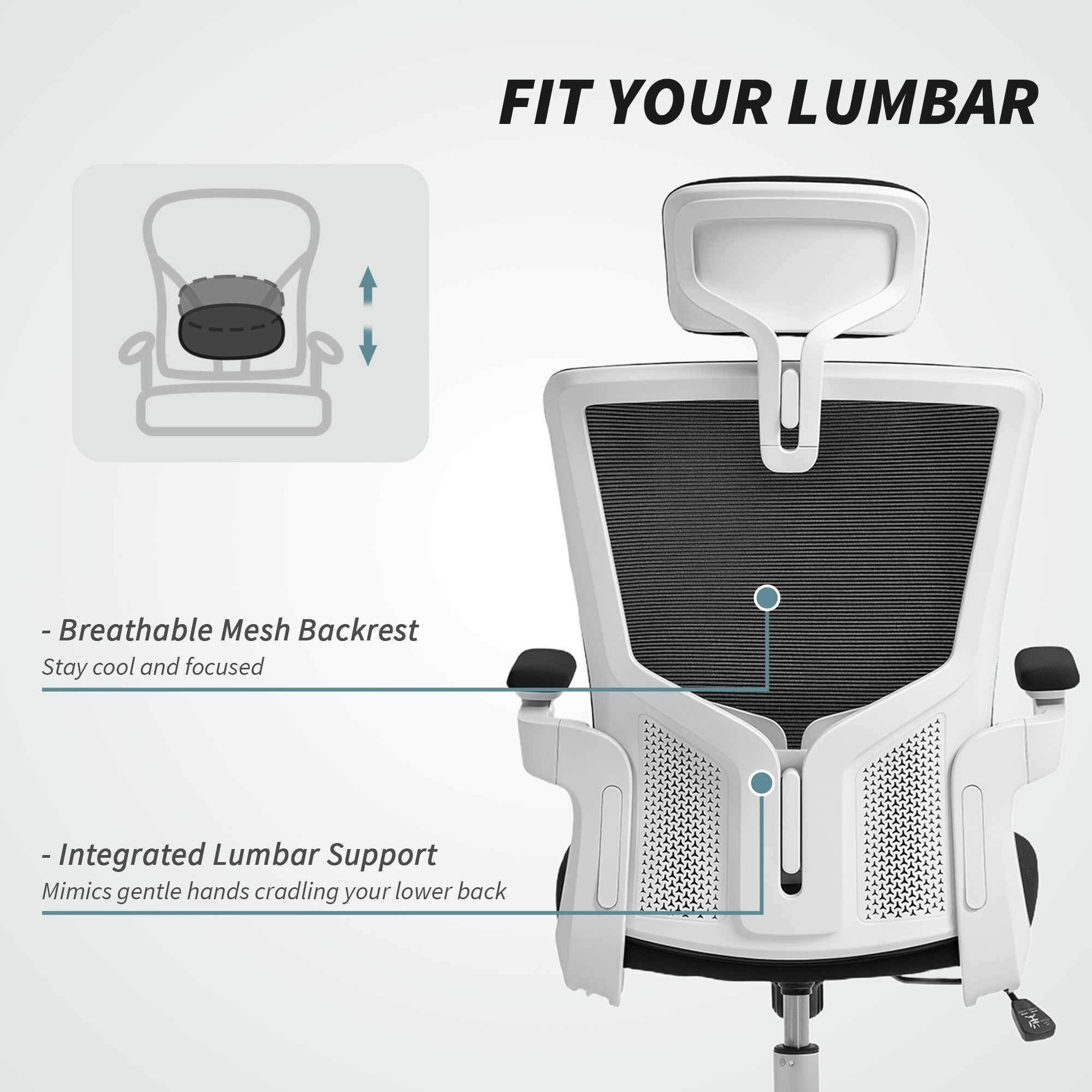 Andre Ergonomic Office Chair with 2D Lumbar Support and adjustable Headrest-Black/White