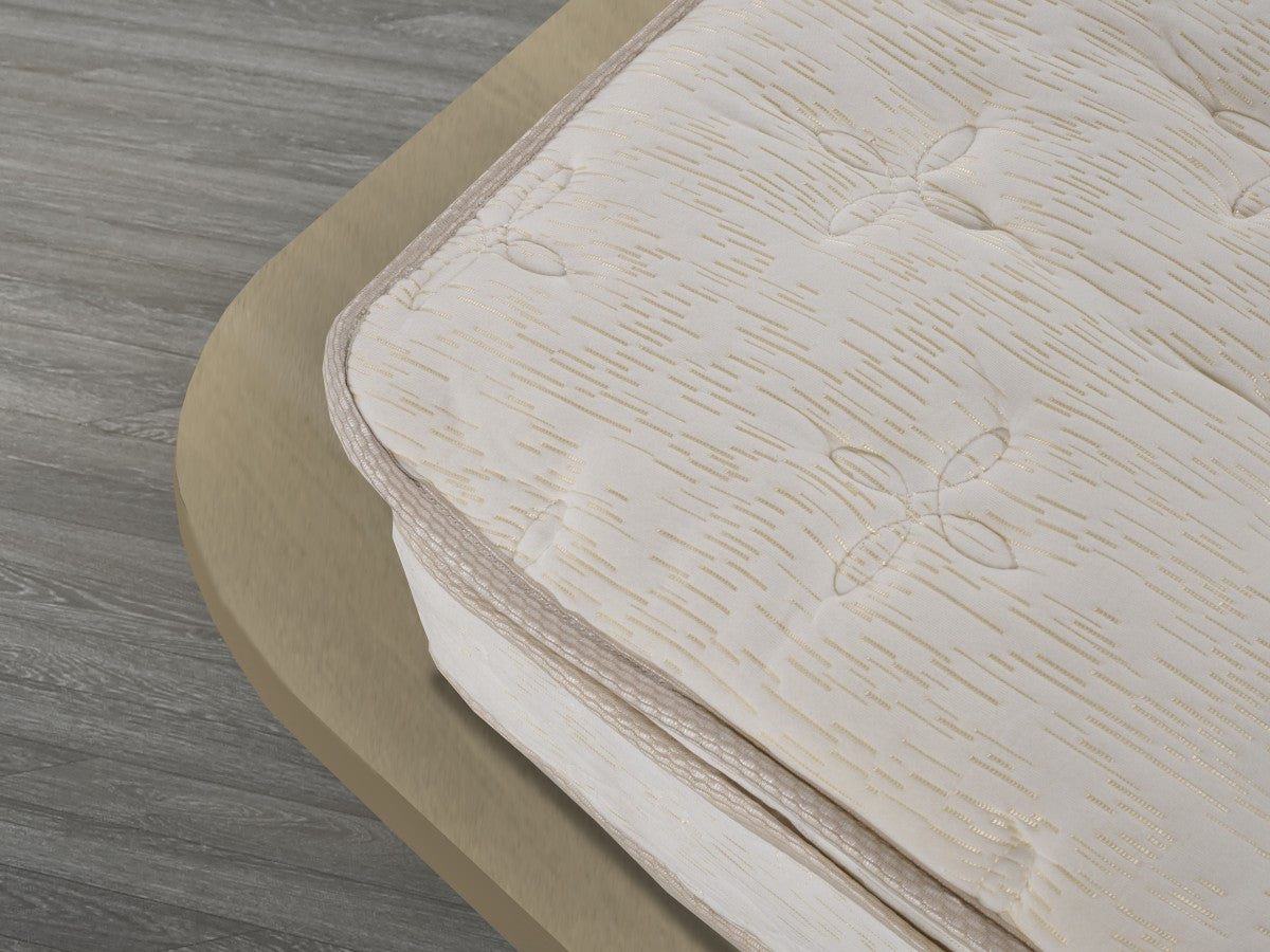 Cicely 10.5" Euro Top