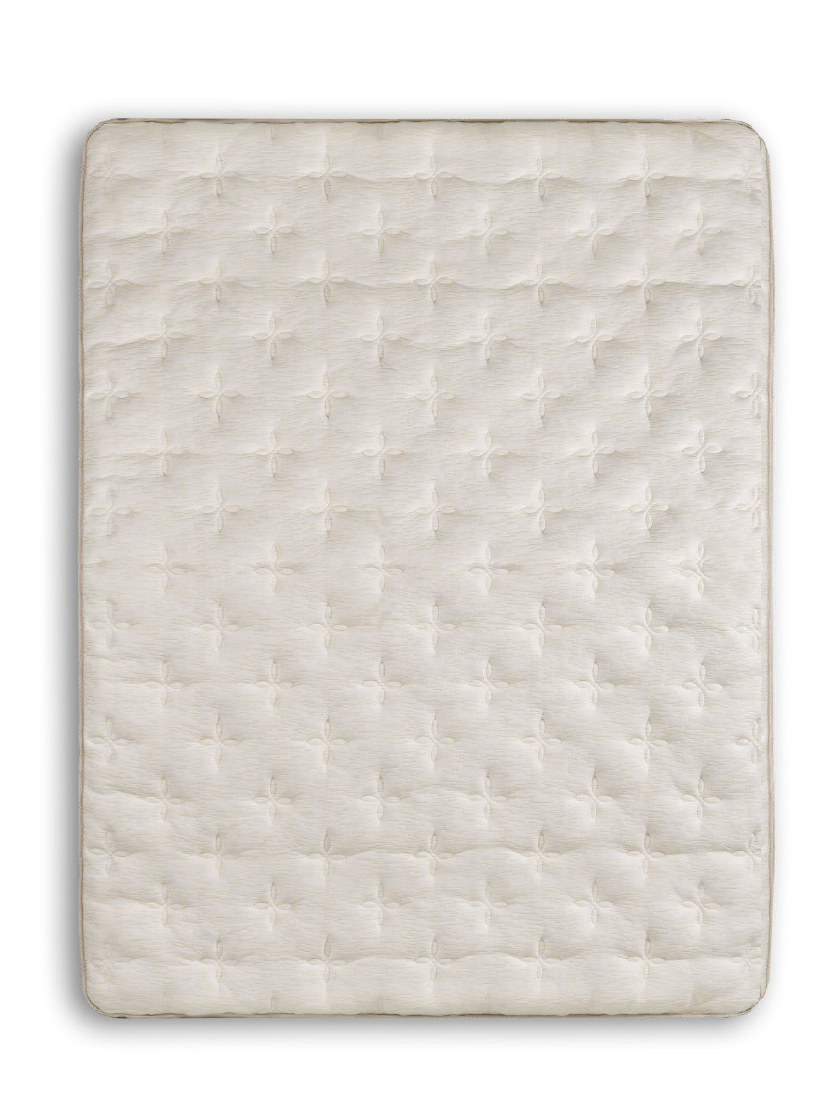 Cicely 10.5" Euro Top