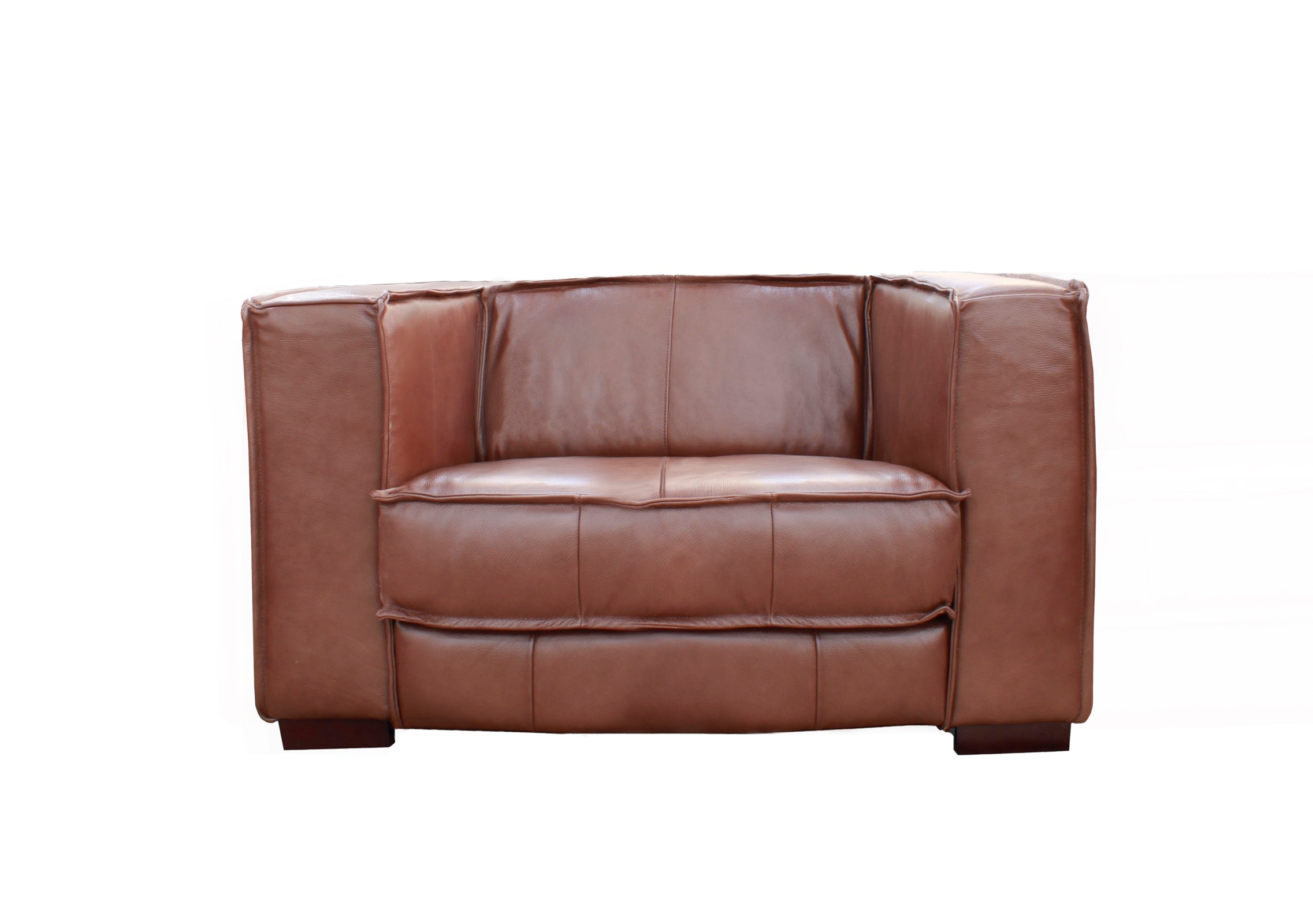 Salvador Genuine Leather Chair