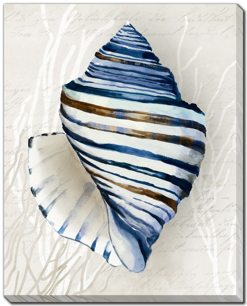 Blue Shell, Set of 2 - 16" x 20"