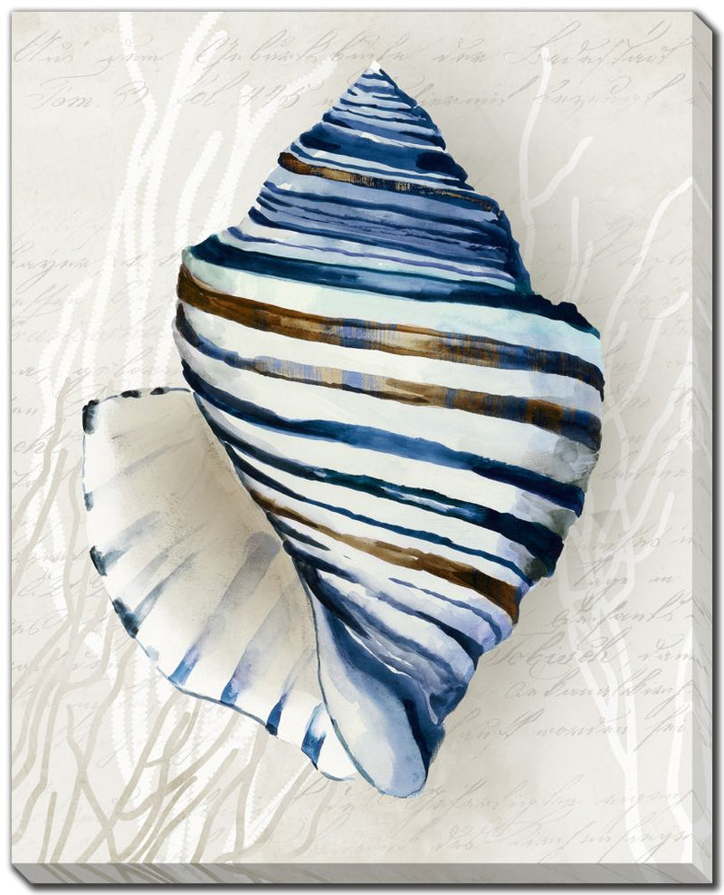 Blue Shell, Set of 2 - 16" x 20"