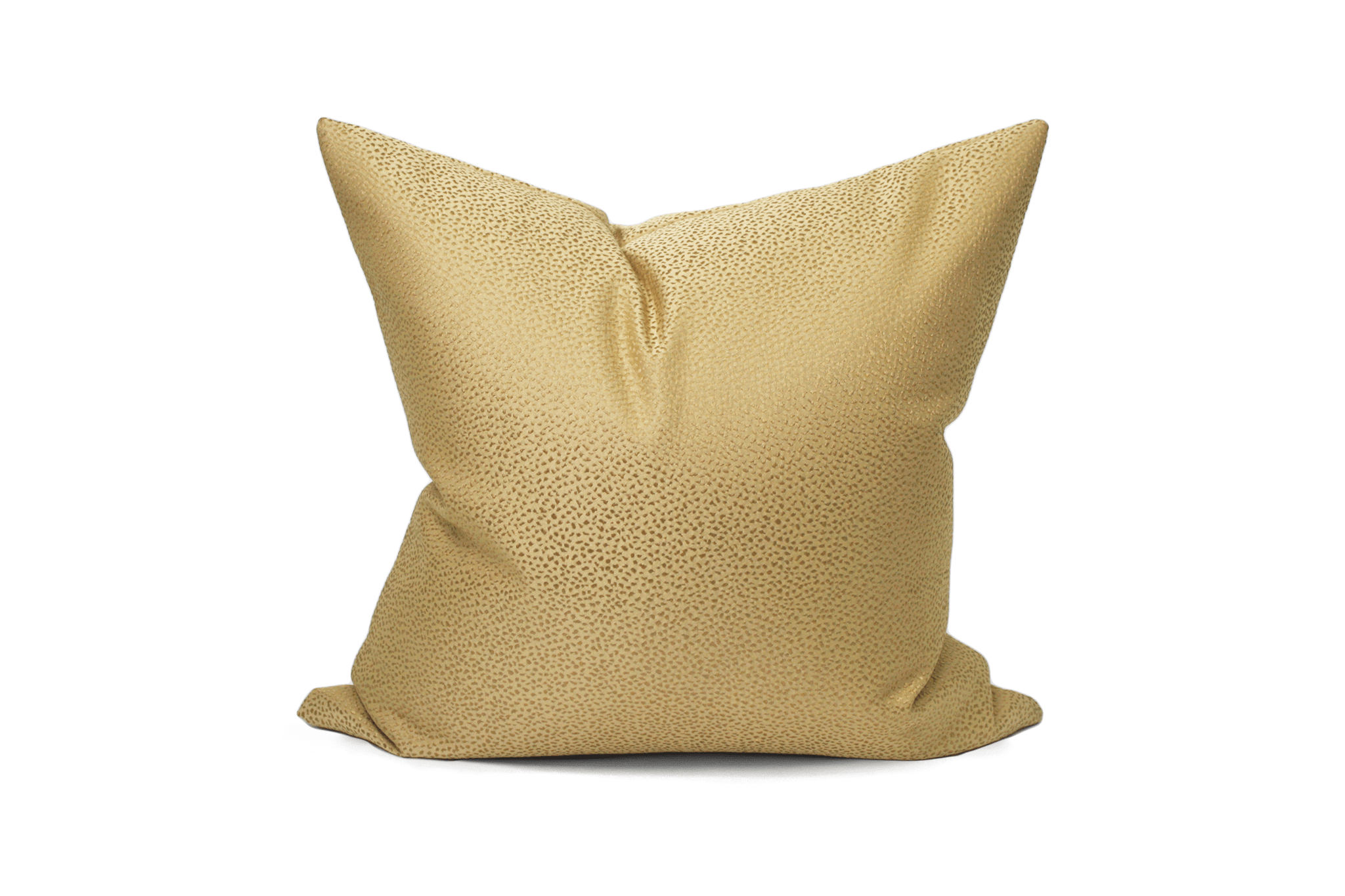 Gold Cushion Cover