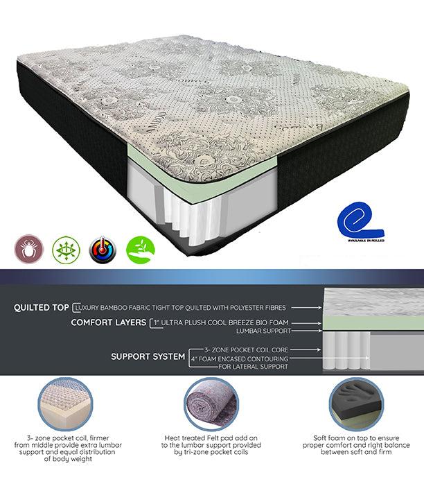 Imperial 10" Plush Tight Top Mattress 🍁