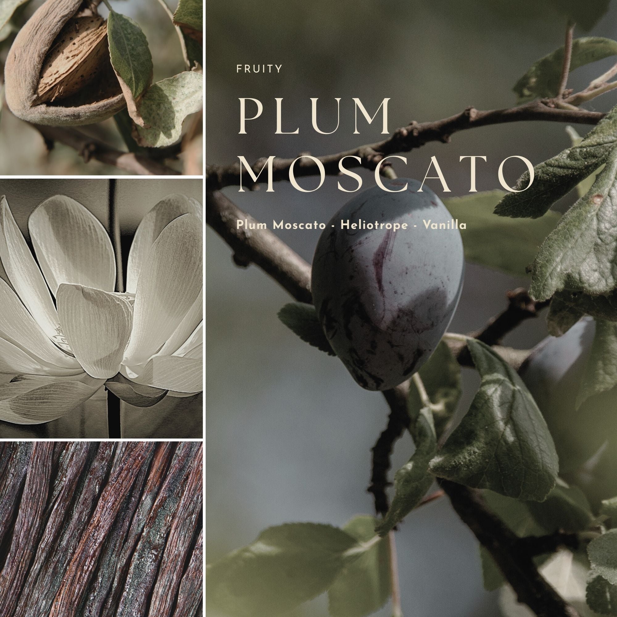 Gourmand, Fruit & Citrus Fragrance Mist