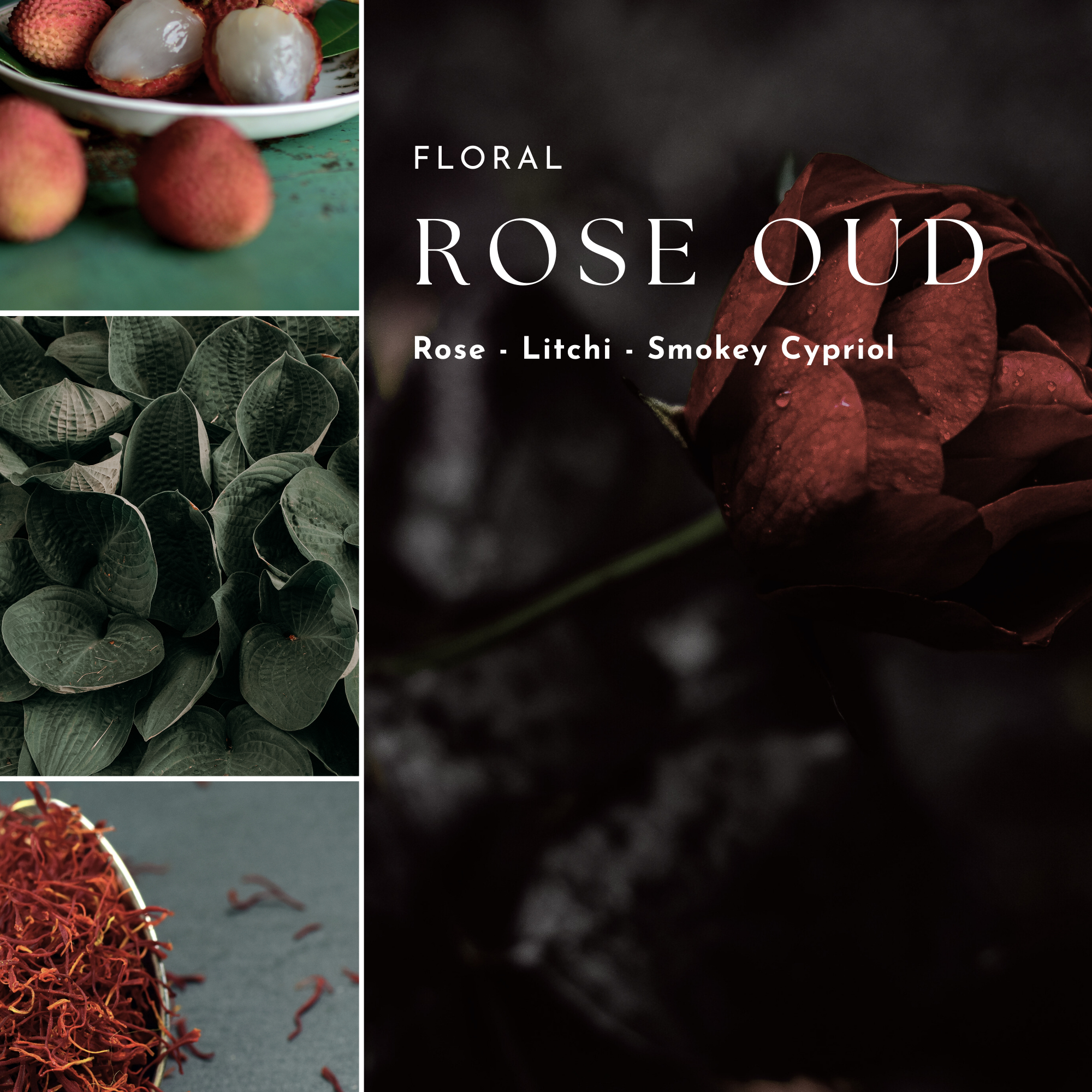 Fresh & Floral Diffuser Oils