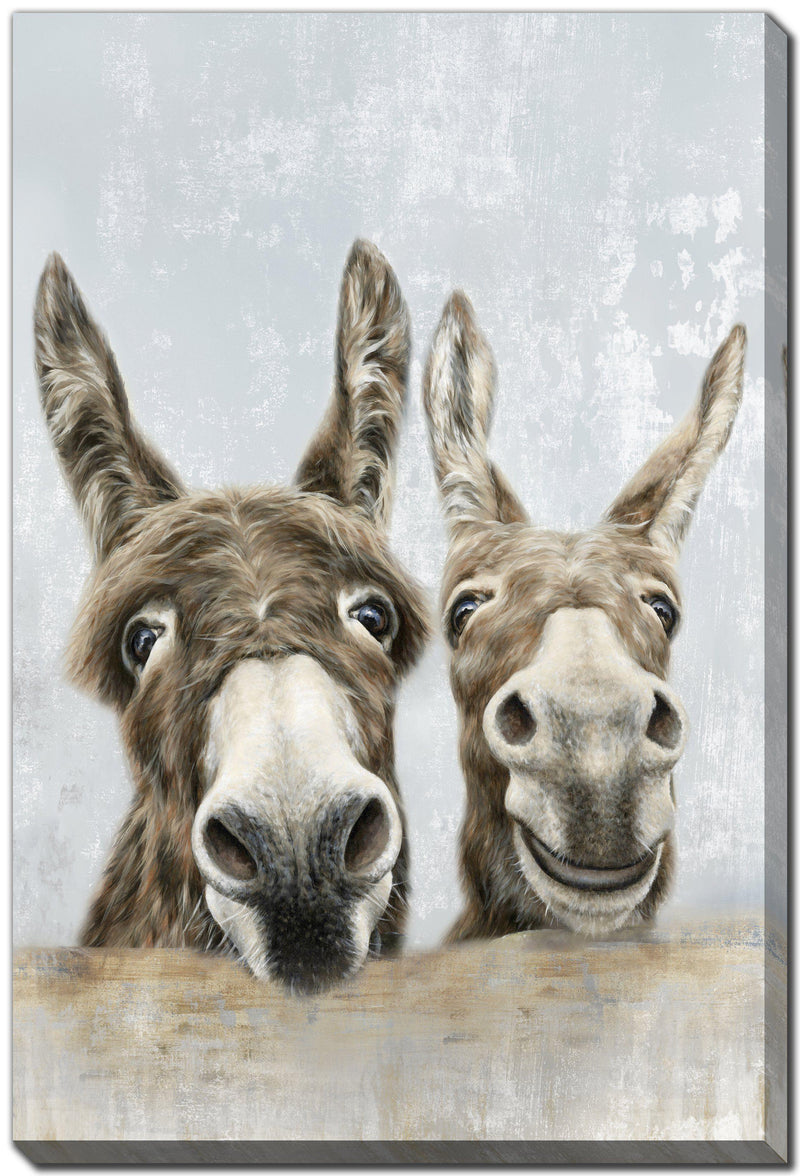 The Donkeys - Furnish 4Less