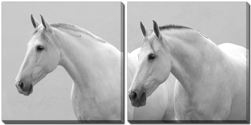 White Horses - Furnish 4 Less
