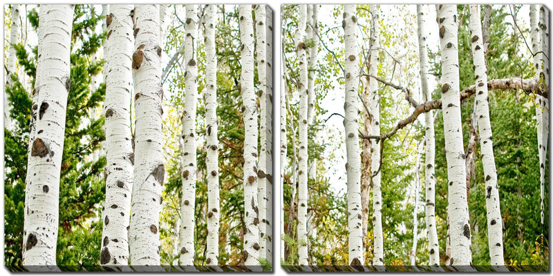 Birch Forest Panel - Furnish 4 Less