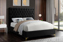 Tufted Velvet Bed IF-5642 - Furnish 4Less